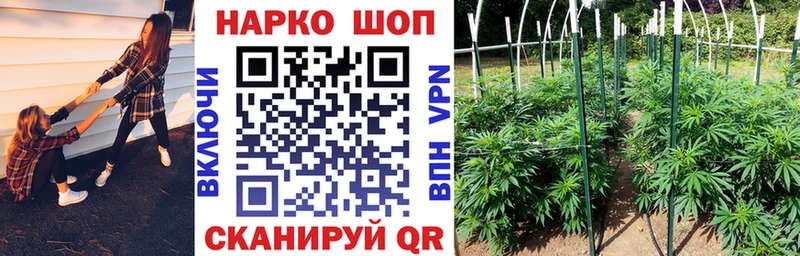 Сколько стоит Бабаево ГАШ  Каннабис  Галлюциногенные грибы  МЕФ  Cocaine 