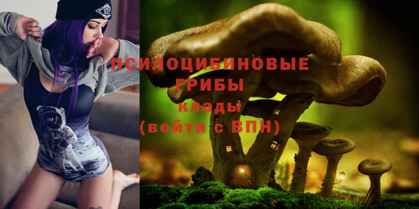 МДПВ Алексеевка