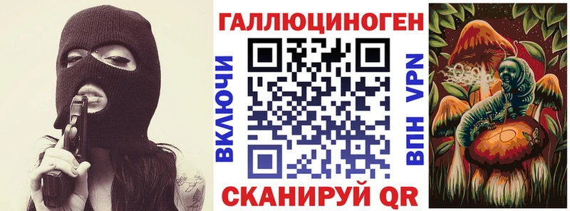 Галлюциногенные грибы Psilocybine cubensis Бабаево